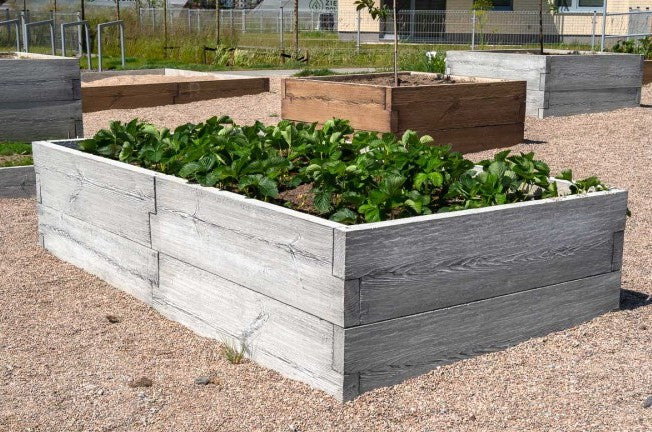 bepflantes Hochbeet