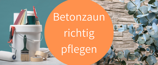 Betonzaun richtig pflegen