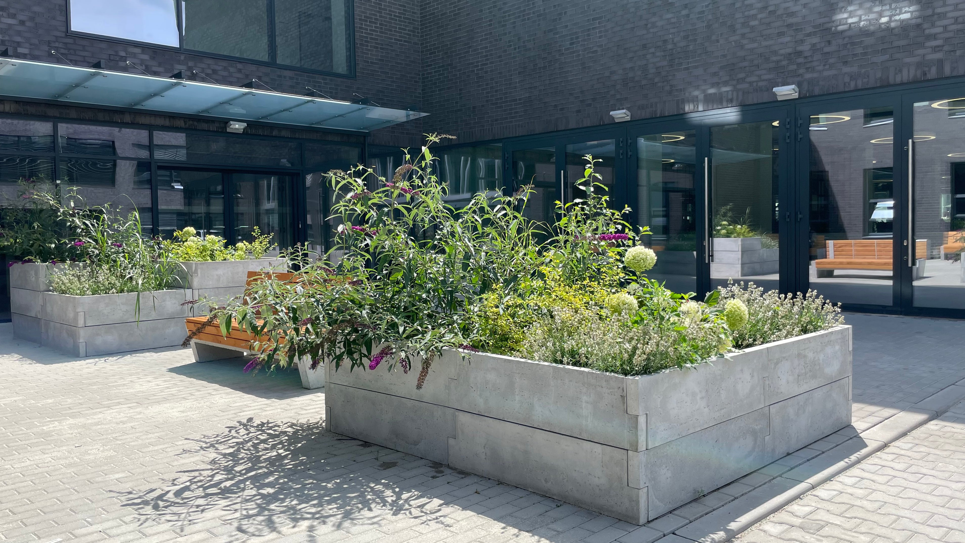 Hochbeet bepflanzt vor Gebäude